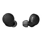 Sony WF-C500 Truly Wireless In-Ear Bluetooth Earbud Headphones with Mic and IPX4 water resistance, Black