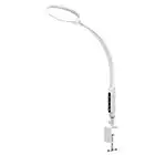 Light Therapy Lamp, ALBINA 10000Lux, Full Spectrum and UV-Free LED Therapy Light, Happy Lamp with Flexible Gooseneck and 360°Swivel Base, Clamp Lamp with 5 Colors/5 Brightness/Timer/Memory