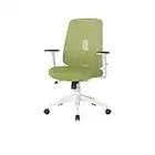 NOUHAUS Palette Ergonomic Office Chair Comfortable Swivel Computer Desk Chair, Lumbar Adjust Rolling Chair (Green)