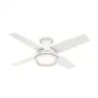 Hunter Fan Company 59244 Dempsey Low Profile Fresh White Ceiling Fan with Light & Remote, 44"