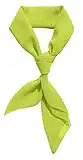Lime Green Scarf Daphne Costume Accessories Silk Light Green Ascot Neck Scarf Neckerchief Hankerchief