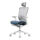 SIDIZ T50 Chaise pivotante ergonomique (TNB500HLDA): Dossier Incurvé avec Rembourrage en Maille, Appuie-Tête Réglable, Soutien Lombaire Réglable, Accoudoirs 3D, Glissière/Pente (Siège en Tissu Bleu)