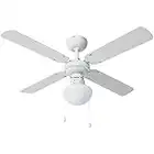 Bestron Ventilatore a soffitto con lampada, Ø 102 cm, 50 W, Bianco/Acero