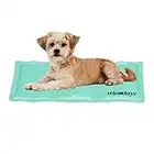 Relaxdays Tapis rafraîchissant pour Chien, 20 x 35 cm, Matelas Auto-rafraichissant, Gel, pour Vos Animaux, Azur