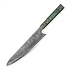 hajegato Gyuto Hajegato Einzigartiger einzigartiger Griff Professionelles 25,4 cm japanisches Kochmesser VG10, 67 Schichten Damaststahl Messer 9010016117