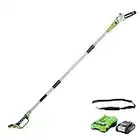 Greenworks G24PS20K2 Cordless Pole Saw, 20cm Bar Length, 6.7m/s Chain Speed, 3.2kg, Auto-Oiler, 50ml Oil Tank, 2.6m Pole Reach, 24V 2Ah Battery & Charger, 3 Year Guarantee