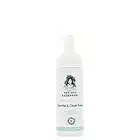 Tattoo Defender - Soothe and Clean Foam 150 ml – Espuma Limpiadora Calmante para el Tatuaje - Reduce el Enrojecimiento y la Hinchazón - Antibacteriana