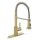 HGN Brushed Gold Kitchen Faucet with Pull Down Sprayer,Single Handle Gold Kitchen Sink Faucet Stainless Steel HGN-CFLT-2011G-DP