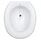 Bidé sanitario acoplable al inodoro, Plástico, 38 x 41.5 x 14 cm, Portátil, Con tapón, Universal, Bidé adaptable para WC, Bidé para inodoro, Transportable, Bidet acoplable para WC, Blanco