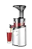 Hurom H101 Easy Clean Masticating Slow Juicer - Matte Silver