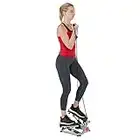 Sunny Health & Fitness Total Body Step Machine SF-S0978 Gray