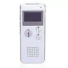 Paranormal Ghost Hunting Equipment Digital EVP Voice Activated Recorder USB US 8GB (Silver)