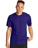 Hanes Sport Men's T-Shirt Pack, Cool DRI Moisture-Wicking Performance T-Shirt, UPF 50+ Performance Tee, 2-Pack, Purple, Large