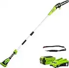 Greenworks G40PSFK2 Sega ad Asta a Batteria, Lunghezza Barra 20cm, Velocità Catena 8m/s, 3,64kg, Auto-Lubrificante, Serbatoio Olio 80ml, Asta 2.58m, Batteria 40V 2Ah e Caricabatterie, Garanzia 3 Anni