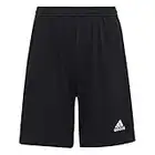 adidas Jungen ENTRADA22 Fußball-Shorts, Schwarz, 12 Jahre