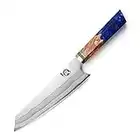 MITSUMOTO SAKARI 8 inch Japanese Chefs Knives, Kiritsuke Sushi Kitchen Knives, Hand Forged 67 Layers 440C Damascus Steel Sashimi Knife, (Blue Pomegranate Handle & Gift Box)