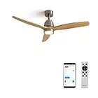 CREATE / WINDSTYLANCE/Ventilateur de plafond avec WiFi et lumière, niquel et bois naturel / 40W, Silencieux, avec télécommande, WiFi, moteur DC, 6 vitesses, Ø132, minuterie, hauture reglable