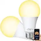 HUTAKUZE Alexa Smart LED Lampen E27, WLAN Glühbirne Dimmbar, 10W Warmweiß Licht, Timing Funktion, Kompatibel mit Amazon Alexa Echo Echo dot Google Home, Kein Hub Erforderlich, 2700K Birne(2 Stück)