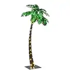 LIGHTSHARE ZLS5FT Lighted Palm Tree, 5-Feet, Multicolor