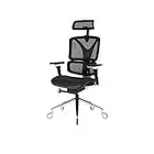 Nouhaus ErgoPRO Ergonomic Office Chair with Back Support, Computer and Dorm Chair for Study. Rolling PROWheels, 360 Degree Swivel, Mesh. (Black)