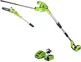 Greenworks 40V 8" Cordless 8" Polesaw + 20" Pole Hedge Trimmer Combo (Great For Pruning and Trimming Branches / Shrubs), 2.0Ah Battery and Charger Included