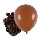 ZHIHUI 12pcs Retro Brown Balloons, Coffee Latex Balloons 10inch with 1pc Balloon Spare & 1pc Ribbon for Birthday Wedding Baby Shower Bride Shower Anniversaries & Celebrations Party Decorations