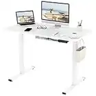 FLEXISPOT EF1-SET Scrivania Regolabile in Altezza Scrivania Elettrica Scrivania Motorizzata Standing Desk,Pannello di controllo con memoria a 2 Livelli (100 * 60cm,Telaio Bianco+Piano Bianco)