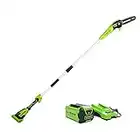 Greenworks 40V 8" Cordless Polesaw (Great For Pruning and Trimming Branches / 11 FT Reach / 60+ Compatible Tools), 2.0Ah Battery and Charger Included