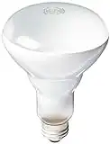 PHILIPS 408662 Soft White 65-watt Br30 Indoor Flood Light Bulb, 4 Count (Pack of 1)