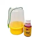 Dragonfli Wasp Trap With Liquid Bait Attractant - Catches & Kills Wasps (Standard)