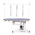 Pedigroom Large Professional Heavy Duty Hydraulic Dog Grooming Table with H Bar Blue