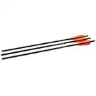 Barnett Crossbows 20-Inch Headhunter Arrows (Bulk 48)