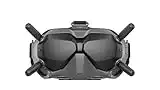 DJI FPV Goggles