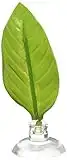 Zoo Med Floating Leaf Hammock Betta Bed Hamac Form Feuille pour Aquariophilie, Vert, 1 Unité (Lot de 1)