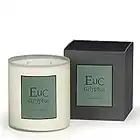 Archipelago Botanicals Eucalyptus Boxed Candle | Wild Eucalyptus, Palm Leaf and Musk | Clean Soy Wax Blend Burns 90 Hours (14 oz)