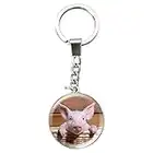 Deluxebase Magnidome Keychains - Cochon de Porte-clés Breloque en Verre de Cristal. Porte-clés photo de cochon en forme de dôme avec une chaîne en acier inoxydable