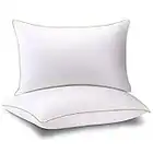 NEIPOTA Pillows Queen Size Set of 2, Cooling Side Sleeper Pillow 20" x 30", Queen Pillows 2 Pack for Shoulder Neck Pain, Firm Bed Pillows & Positioners Hotel Collection, Best Gel Pillow for Sleeping