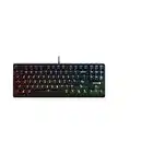 Cherry MX RGB Mechanical Keyboard with MX Red Silent Gold-Crosspoint Key switches for typists, Programmers, Creator, Coder, Work in The Office or at Home G80-3000N RGB (TenKeyLess (TKL)