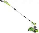 Greenworks 8.5' 40V Cordless Pole Saw, 2.0 AH Battery Included 20672