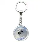 Deluxebase Magnidome Keychains - Phoque de Porte-clés Breloque en Verre de Cristal. Porte-clés photo de phoque en forme de dôme avec une chaîne en acier inoxydable