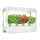 TORCHSTAR LED Indoor Herb Garden, CRI 95+, Herb Grower Light with Timer, Indoor Gardening System, Full Spectrum Light, 24V Garden Kit for Plant Grow Novice, White, 4000K, Pots & Plants Not Included