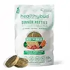 healthybud Raw Dog Food, Freeze Dried Dog Beef Patties, Grain Free Dehydrated Real Meat, Dry Dog Treats & Toppers, Human Grade High Protein Puppy Food for All Breeds and Sizes, 14.1 Ounces