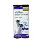 Culligan D-10A Level 1 Drinking Water Replacement Cartridge Carbon-Impregnated Cellulose 2 pack Size: 9.75 H x 2.5 W x 2.5 D Model: D-10A (Home & Kitchen)