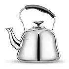 Tea Kettle Stovetop Whistling Teakettle Teapot, Stainless Steel, Thin Base, Mirror Finish, 2 litres