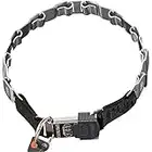 Sprenger Hundehalsband Neck-Tech Fun mit ClicLock Verschluss I Hundehalskette aus rostfreiem Edelstahl, Flache austauschbare Gliederkette, 60cm