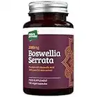 PURE High Strength Boswellia Serrata capsules 5:1 Extract 2000mg | 180 Vegan Caps - 6 Months supply | 65% Standardised Boswellic Acid, Indian Frankincense | Anti Inflammatory | UK made