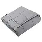 Dreambeauty Weighted Blanket (41''x60'', 10lbs for 80-120lbs Individual, Grey) 丨Premium Cotton with Glass Beads丨Great Sleep for Kids, Girls and Boys丨fit Twin or Full Size Bed