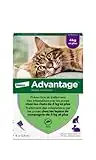 ADVANTAGE Chat – Anti-Puces pour Chats – 4KG Et Plus - 6 Pipettes