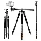 Andoer Camera Tripod 78.7 inch with Center Column, 2-in-1 Camera Stand Monopod with 360° Ball Head, 3.9lb Lightweight Aluminum Alloy Tripod, Max Load of 22Ib