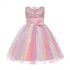 Kinder Mädchen Pailletten Kleid Blumenmädchen Regenbogen Tüllkleid Hochzeit Brautjungfer Tütü Prinzessin Kurzes Partykleid Kleinkinder Geburtstagskleid Ballkleid Ärmellos Sommerkleid Rosa 7-8 Jahre